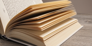 N&Uacute;MERO INTERNACIONAL NORMALIZADO DEL LIBRO (ISBN)