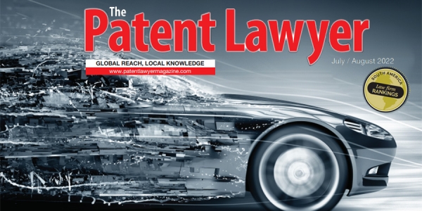 The patent lawyer