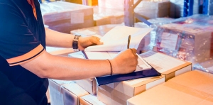 ASEGURAMIENTO DE BIENES POR PARTE DEL IMPI