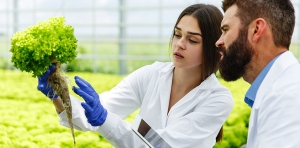 La agricultura en el &aacute;mbito de propiedad industrial / derechos de obtener y propiedad industrial