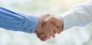 DEL PROCEDIMIENTO DE AVENENCIA